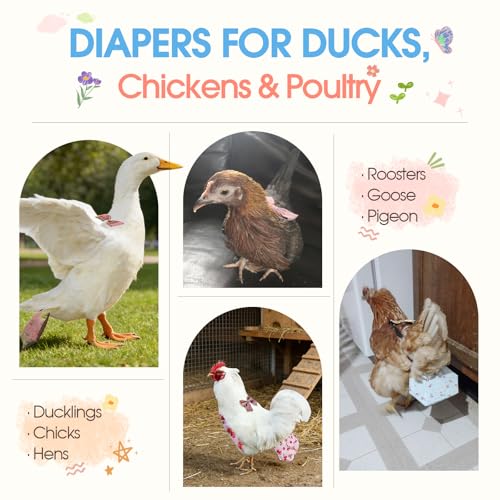 QBLEEV Duck Diapers for Pekin Ducks & Chickens - Orchid, Cotton & Polyester, Reusable Indoor Poultry - Image 2