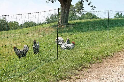 Kerbl 292273 Poultry Net 25 m / 106 cm Double Tip Green