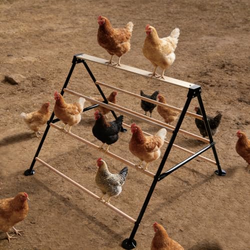 XCL Chicken Roosting Bars, Chicken Perch for Coop - natural wood color, Metal & Wood, for Adult Chickens (L) - Image 2