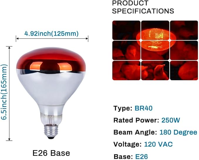 4 Pack 250 Watt Heat Lamp Bulbs for Chicks, R40 Brooder Heat Lamp for Chickens, Infrared Reflector Heat Bulbs for Brooder Heater, Incandescent Spotlight for Pet, Bathroom, Food