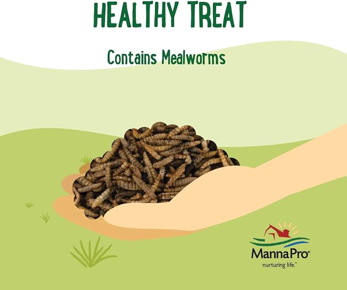 Manna Pro Farmhouse Favorites Mealworms Poultry Treat - Protein Treat for Poultry - Chickens, Turkeys, Ducks, Geese, and Guinea Fowl - Contains 50% Protein - 100% Natural Poultry Snack - 10oz