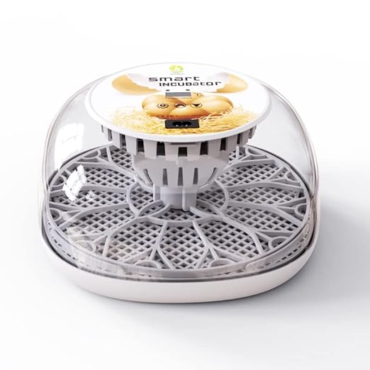 Egg Incubators for Hatching Eggs, 12 Egg Incubator Automatic Turner Humidity Control Egg Encabulator for Chicken, 360° Clear Window Incubator for Chicken Eggs, Duck, Quails, Goose Eggs