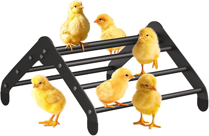 Koutemie Adjustable Chicken Perch for Coop, Heavy-Duty Metal Chick Roosting Bar for Brooder, Baby Chicks Stand Toy Training Perches for Bird Parrot Hens Macaw, Black