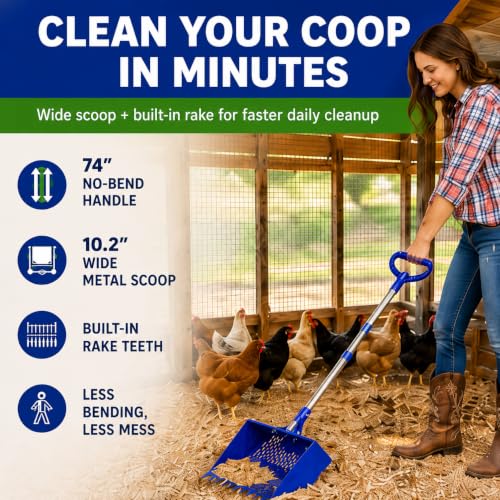 Chicken Poop Scooper with 74" Adjustable Handle - Blue, Heavy Duty Metal Chicken Coop Cleaner - Image 2
