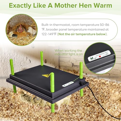 Tetuga Brooder Heat Plate 12 X 16” Chick Heating Plate Warm Up to 30 Chicks - 12x16 Inch - Image 3
