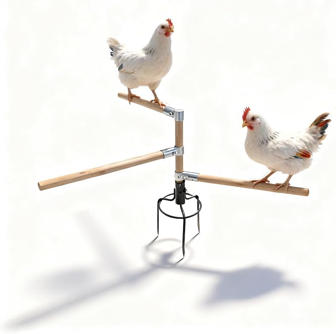 Chicken Perch Toys for Coop & Backyard Chickens, Small Chicken Perch Roosting Bars with 3-Prong Metal Ground Plug & Adjustable and Replaceable Wood Bar(Wooden, 22" H x 14" R)