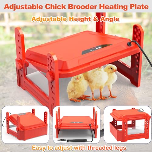 Chick Brooder Heating Plate with Adjustable Temperature - Red, Acrylonitrile Butadiene Styrene (ABS), Brooder Plate 130W Red - Image 4