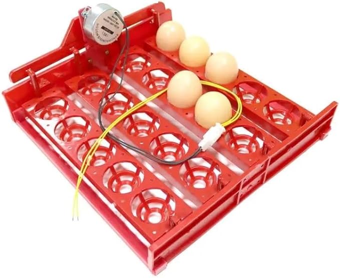 20 Egg Incubator Turn Eggs Tray Eggtester Automatically Turn The Eggs Experimental Teaching Equipment Voltage 220V / 110V / 12V(12V DC Motor)