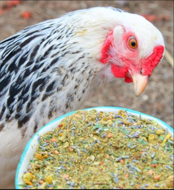 Pampered Chicken Mama Nesting Herbs for Backyard Chickens 8 pounds - Scent of Spring - Keep Laying Hens Happy, Healthy and Relaxed