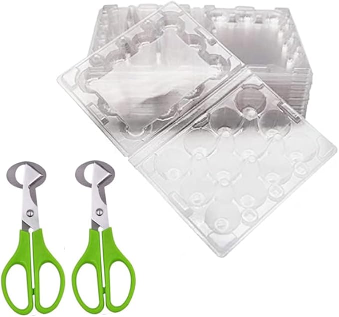 Quail Egg Cartons,12 Grids Small Egg Storage Holders,Quail Eggs Bulk Carton Trays & 2PCS Stainless Steel Cutter
