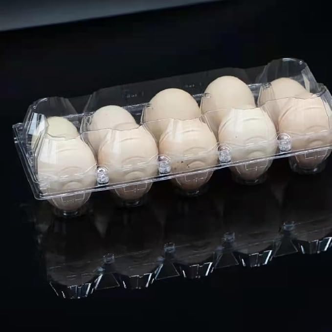 Limera Disposable Plastic Egg Cartons, Clear, 100 Pieces, Tray Egg Container Holder for Refrigerator (10 Egg Tray), Transparent