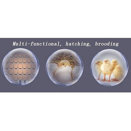 Egg Incubator with Automatic Turning, 36 Eggs Capacity, Digital Temperature Control, Dual Power, for Chicken, Duck, Goose, Birds