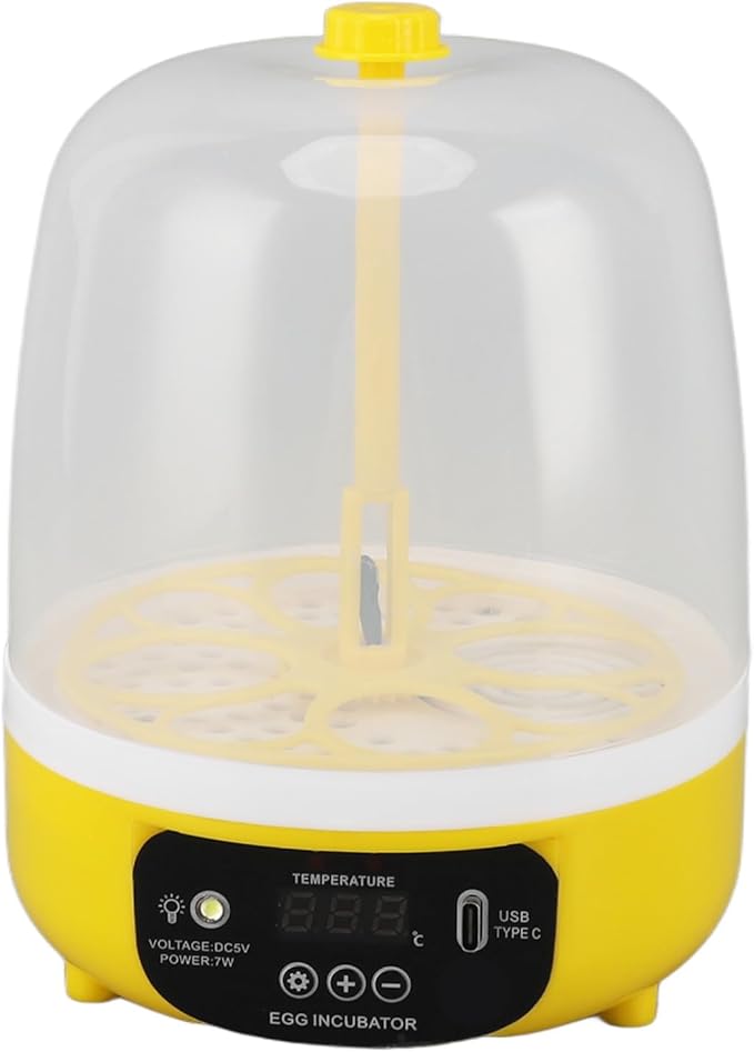 4 Eggs Incubator, Automatic Temperature and Humidity Control Eggs Hatching Incubator, Visual Low Noise Energy Saving USB Mini Poultry Hatcher for Eggs, Pigeon Eggs, Quail Eggs