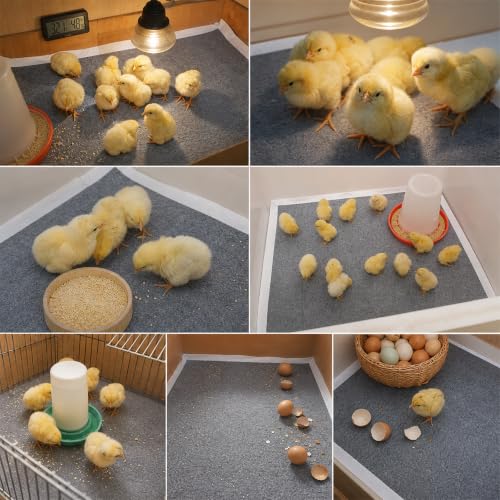 20 Pack Hatchling Liners for Little Chicken - 90 x 60 cm, Gray - Image 4