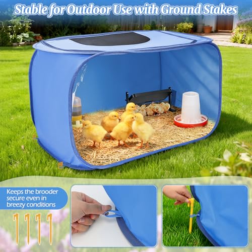 Chicken Brooder Box for Chicks, Pop Up Chick Brooder Kit - Blue, Oxford - Image 6
