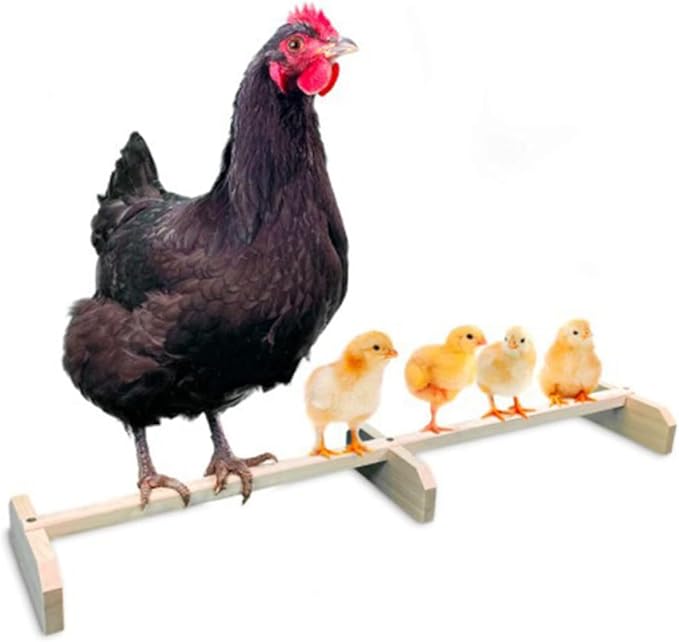 SUPVOX 1piece Wooden Chicken Roosting Bar Secure Bird Stand Bird Cage Perch Cage Accessory Parakeet Accessories