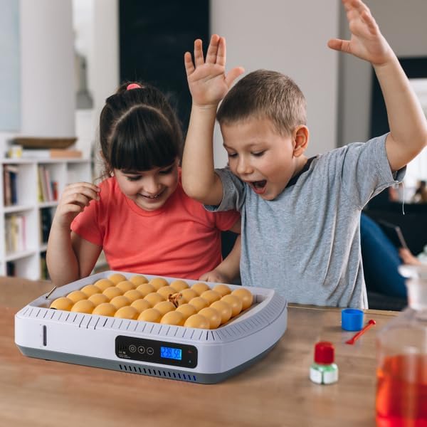 35-Egg Incubator with Automatic Turning – Digital Temperature & Humidity Control, Water Alarm, Adjustable Rollers for Chicken, Duck, Quail, and Bird Eggs