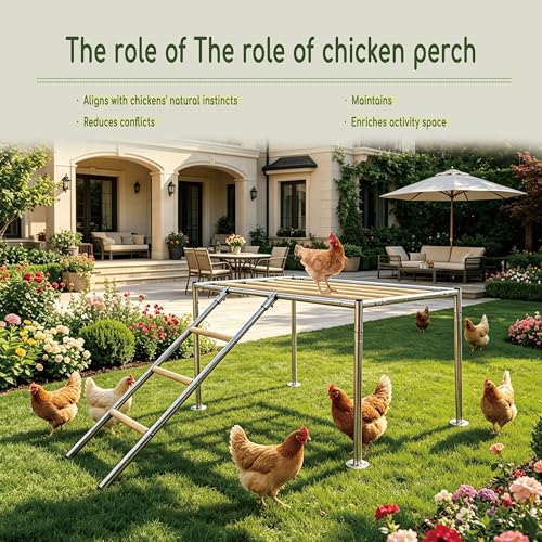 XCL Chicken Roosting Bars, Chicken Perch for Coop (Platform 42" L x 24" W) - Wood color, Galvanized pipe material & timber - Image 7