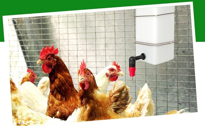 Automatic Drinker System Chick Water Cups 1L Hanging Automatic Fill Chick Cup Drinker Waterer Used for Cages (Green, 1)