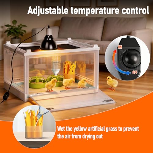 Chick Brooder Box with Adjustable Heat Lamp, Waterer & Feeder - white, Metal & Plastic - Image 2
