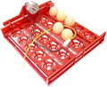 20 Egg Incubator Turn Eggs Tray Eggtester Automatically Turn The Eggs Experimental Teaching Equipment Voltage 220V / 110V / 12V(1I240 RPM 110V Motor)