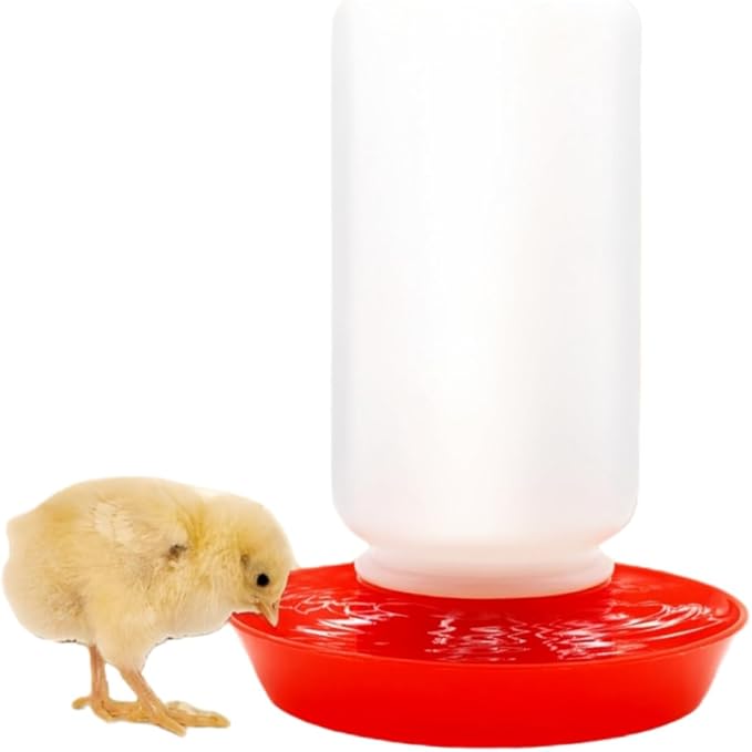 12-Hole No-Scratch & Spill-Proof Chick Feeder, Leak-Resistant Chick Waterer, and Poultry Waterer with Perches - Complete Brooder/Coop Starter Kit for Raising Poultry (Red Base Waterer)