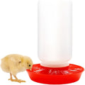 12-Hole No-Scratch & Spill-Proof Chick Feeder, Leak-Resistant Chick Waterer, and Poultry Waterer with Perches - Complete Brooder/Coop Starter Kit for Raising Poultry (Red Base Waterer)