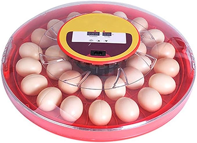 30 Egg Incubator Automatic Turning Digital Poultry Hatcher Brooder Temperature Control Hatching Chicken Duck Quails Bird Easy Observe