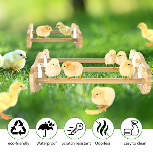 Bamboo Chick Perch with Mirror, 2 Pack - 2 in 1 Chicken perches - Image 6
