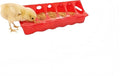 12-Hole No-Scratch & Spill-Proof Chick Feeder, Leak-Resistant Chick Waterer, and Poultry Waterer with Perches - Complete Brooder/Coop Starter Kit for Raising Poultry (12-Hole Feeder)