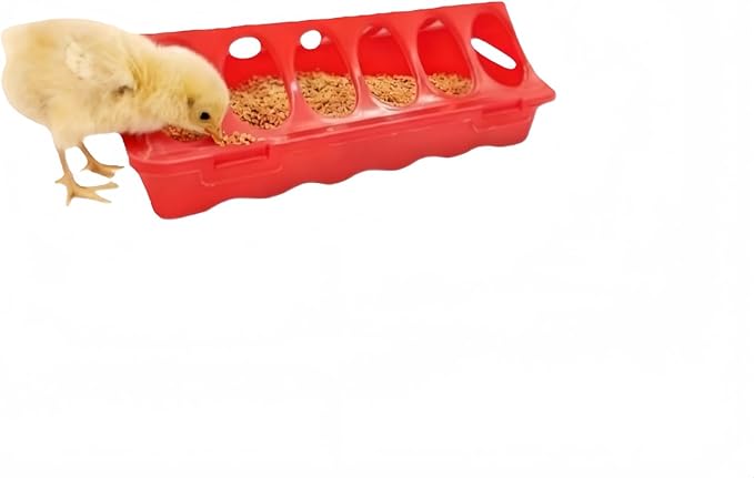 12-Hole No-Scratch & Spill-Proof Chick Feeder, Leak-Resistant Chick Waterer, and Poultry Waterer with Perches - Complete Brooder/Coop Starter Kit for Raising Poultry (12-Hole Feeder)