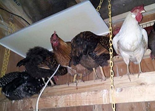 Infrared Heater for Chicks & Pets, Side Mount 11x30, 100 Watt