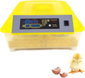 Egg Incubator, Incubators for Hatching Eggs Automatic Turning Digital Temperature Control Poultry 48 Eggs for Chickens Ducks Birds
