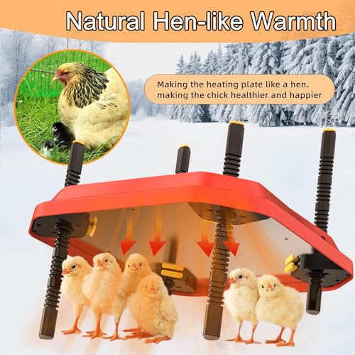 Chick Brooder Heating Plate, Brooder Heater for Chicks - Red, Polyester - Image 3