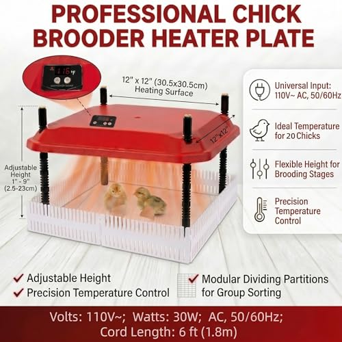 12"x12" Chick Brooder Heater Plate, Adjustable Poultry Heater with Cuttable Dividers - Polyester, Safe Heat Lamp Alternative - Image 3