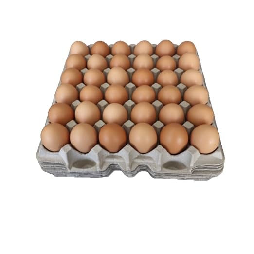Pulp Fiber Egg Flats Egg Trays for Storing 30 Large Eggs Or Small Parts Or Use For Crafting (6)