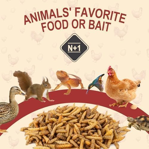 10LB Dried Black Soldier Fly Larvae for Chickens, Non GMO 86X More Calcium BSF Larvae Than Mealworms for Chickens & Birds, Natural Chicken Feed Bulk, Chicken Worms Treats, Wild Birdseed Attractant