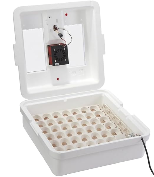 Little Giant® Digital Circulated Air Incubator with Automatic Turner | 41 Egg Capacity | Chick Egg Hatching Incubator with Fan and Egg Turner | Made in USA