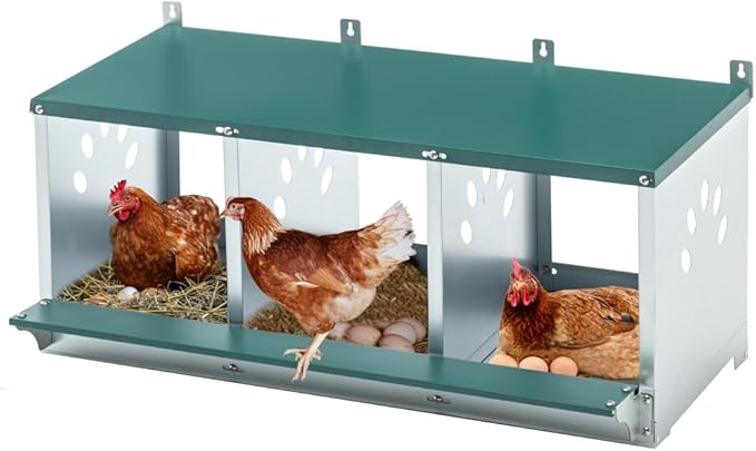 Green Chicken Nesting Box for Laying Eggs – Roll Away Poultry Nest, Durable & Easy-Clean Hen Egg Box for Coops, Secure & Comfortable (3-Hole,Green)