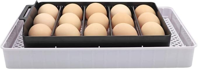 12 Egg Incubator Automatic Turning Digital Hatcher Poultry Temperature Control for Hatching Chicken Duck Goose Quails Birds Brooder