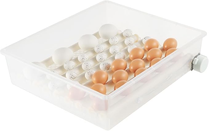 64 Egg Incubator Single Layer 3-in-1 Dual Power Digital Automatic Egg Turner with Temperature Control for Chicken Duck Goose Quail Eggs