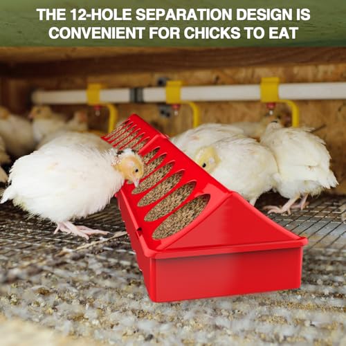 All-in-One Chick Brooder Kit with 75W Adjustable Heat Lamp - Red 2, Plastic, 1 liters, Spill-Proof Feeder & Waterer - Image 4