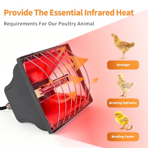 250W Chicken Coop Heat Lamp with Guard & Adjustable Temp - 1 Pack, 1 Pack-Grey, Aluminum - Image 4
