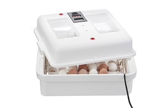 Little Giant® Digital Circulated Air Incubator with Automatic Turner | 41 Egg Capacity | Chick Egg Hatching Incubator with Fan and Egg Turner | Made in USA