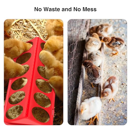 Chick Feeder and Waterer Kit, Baby Chicken Supplies with Chicks Perch - Red 1, Plastic, 5 Pack, Plastic Feeder Trough and 1.2L Waterer - Image 4