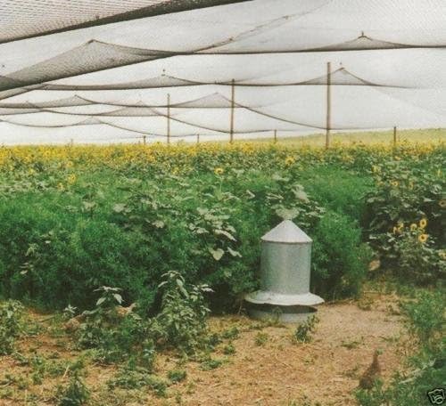 Poultry Netting 1" or 2" Mesh Heavy Knotted Nets Aviary Gamefowl Quail Chicken Bird Block Net Long Lasting Break/Burst 85/245 lb Polyethylene 8-10 Year Lifespan (25' X 150', 2)