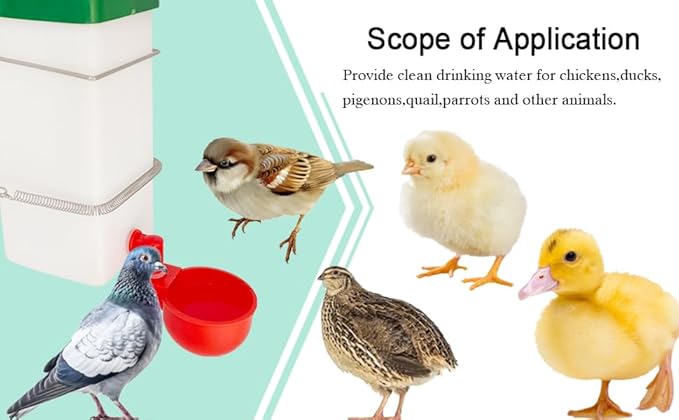 Automatic Waterer System Chick Drinker Cups 1L Hanging Automatic Fill Poultry Watering Cup Used for Cages (1)