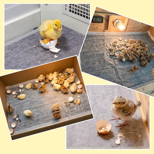 10 Pack Chick Brooder Liners Chick Bedding Bamboo Charcoal Hatchling Liners Keep - 35" x 24", gray, Polyester, and More - Image 3