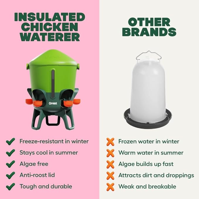 Omlet Insulated Chicken Waterer, 3 Gallon | Stay-Clean Automatic Water Dispenser for Chickens | BPA-Free | Anti-Roost Domed Lid | Includes 5 Cups & Nipples | Sage Green