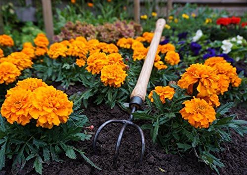 DeWit 3-Tine Cultivator with Drop Grip Handle, Works as Garden Hoe and Tiller